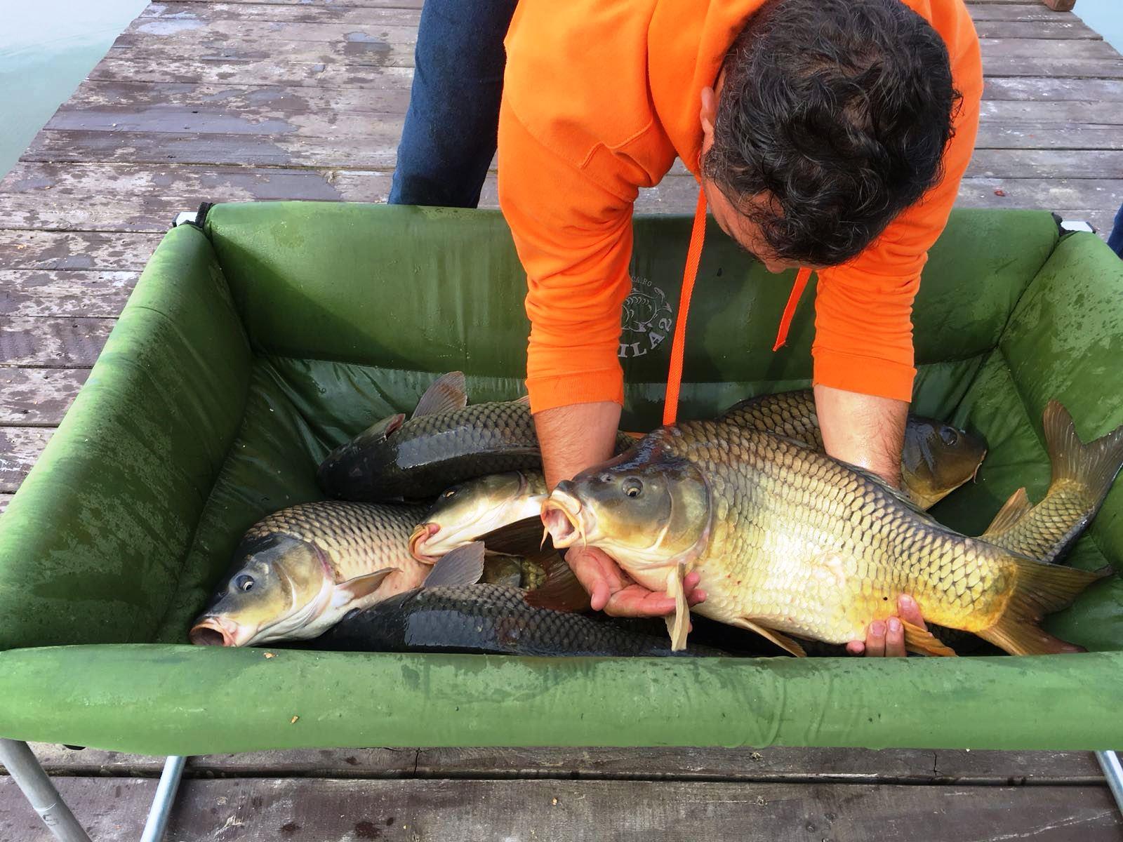 Bila 2 14 - 15 august 2018 - 4.jpg